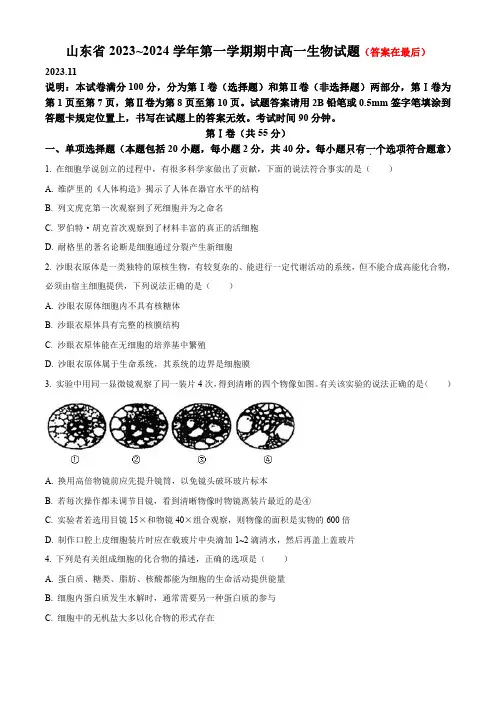 山东省2023-2024学年高一上学期期中考试 生物含解析