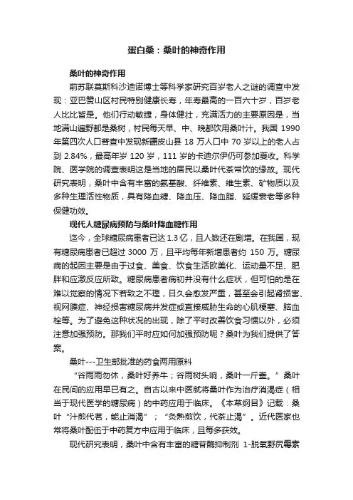 蛋白桑：桑叶的神奇作用