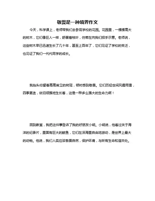 敬畏是一种境界作文