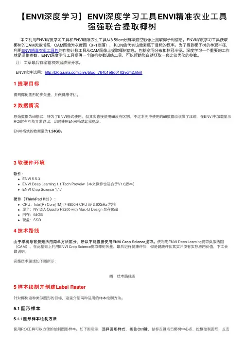 【ENVI深度学习】ENVI深度学习工具ENVI精准农业工具强强联合提取椰树