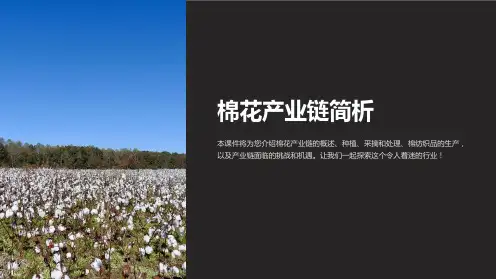 《棉花产业链简析》课件