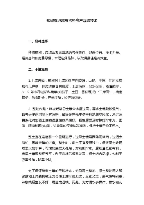 辣椒露地越夏抗热高产栽培技术