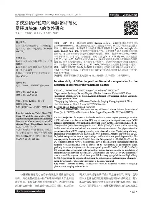 多模态纳米粒靶向动脉粥样硬化易损斑块SR-A的体外研究