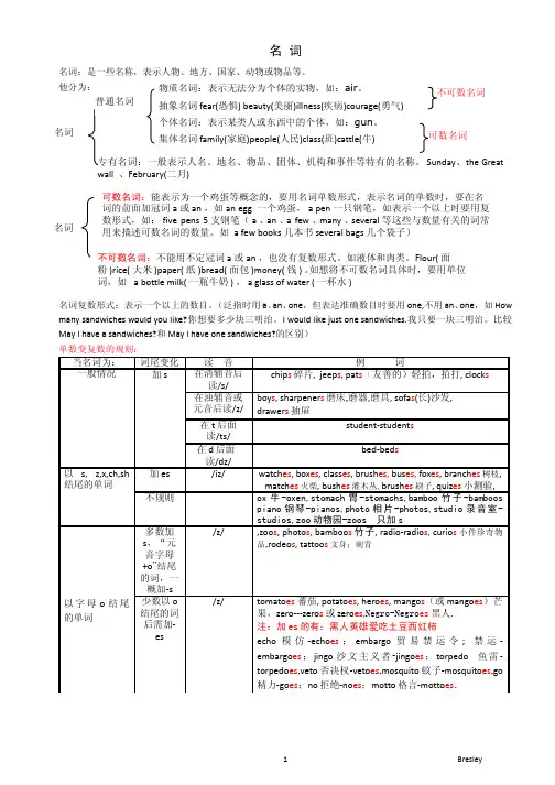 英语名词用法大全