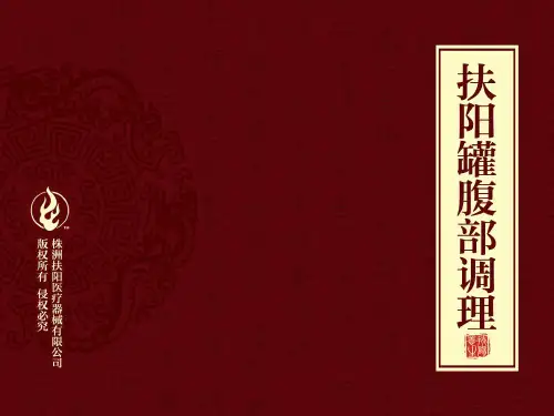 扶阳罐腹部调理200912