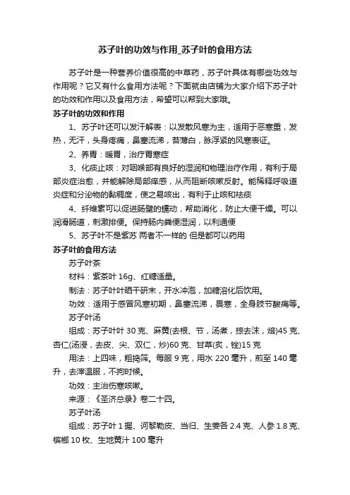 苏子叶的功效与作用_苏子叶的食用方法