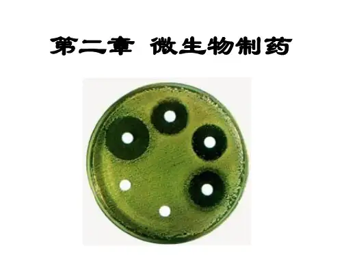 微生物制药PPT课件