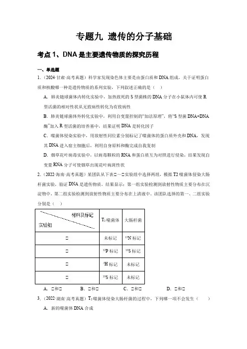 【20-24年高考真题分类汇编】专题九 遗传的分子基础(含解析)