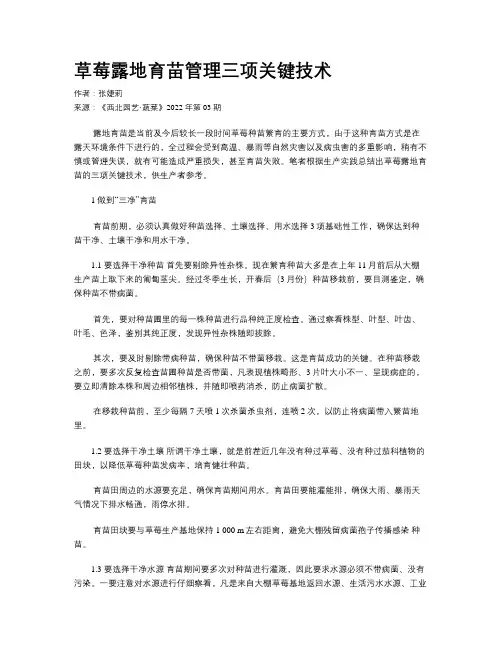 草莓露地育苗管理三项关键技术