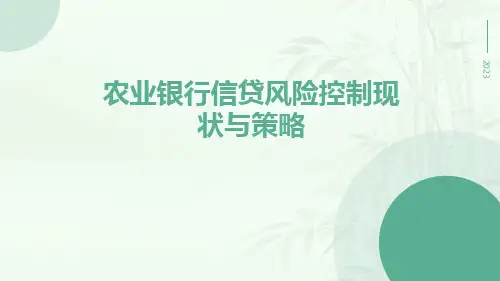 农业银行信贷风险控制现状与策略