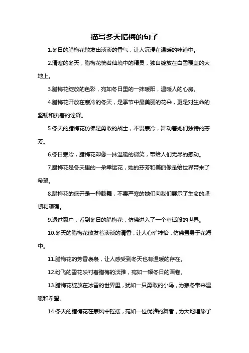 描写冬天腊梅的句子