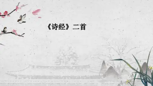 第12课《诗经二首》课件(共43张ppt)+++2022-2023学年部编版语文八年级下册