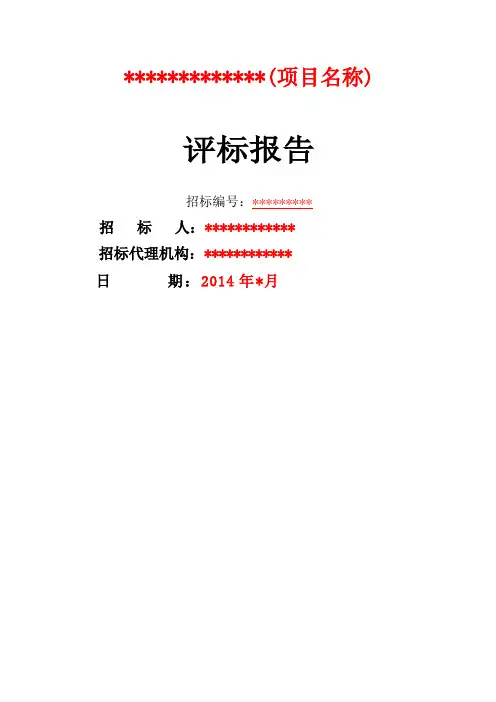评标报告格式