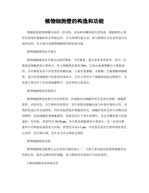 植物细胞壁的构造和功能