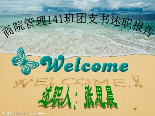 团支书述职报告
