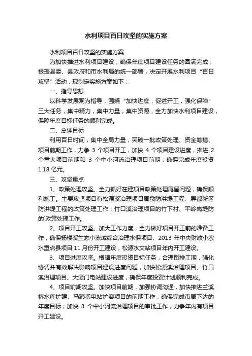 水利项目百日攻坚的实施方案