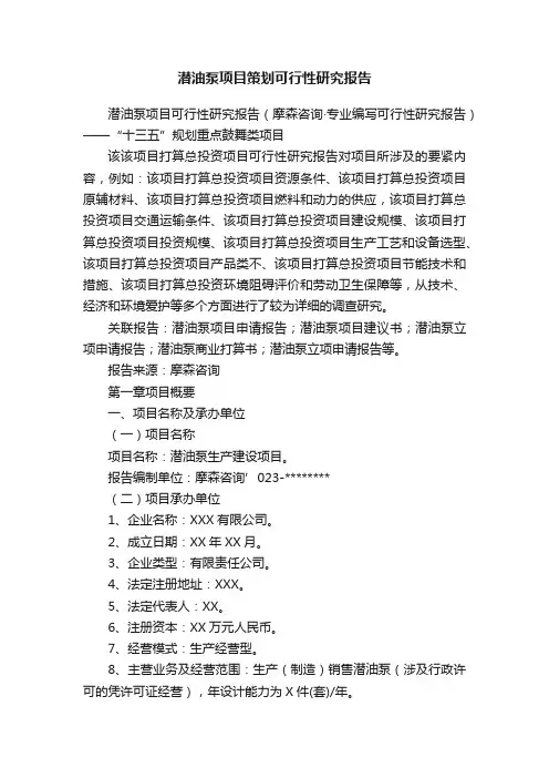潜油泵项目策划可行性研究报告
