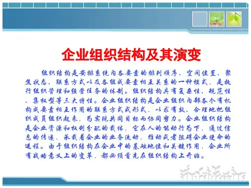 企业经济学：企业组织结构及其演变