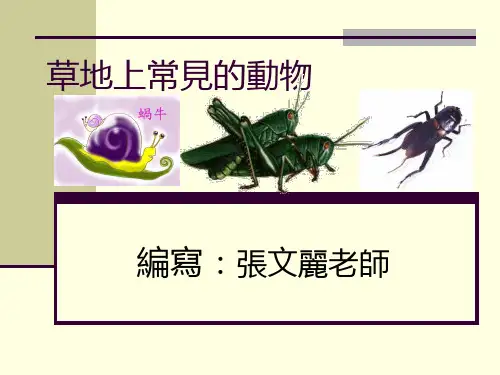 认识常见的动物蜗牛篇