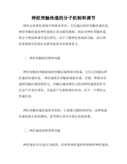 神经突触传递的分子机制和调节