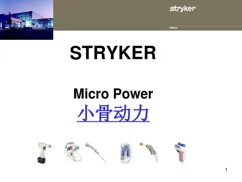 美国史赛克动力系统 (1)