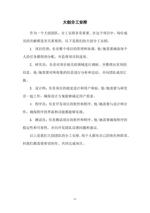 大创分工安排