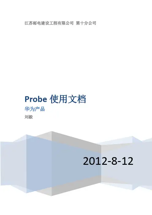 004 华为Probe使用指导2.0