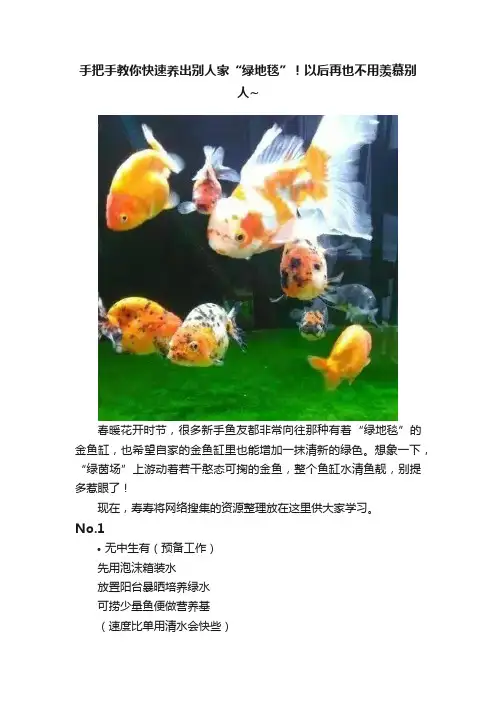 手把手教你快速养出别人家“绿地毯”！以后再也不用羡慕别人~