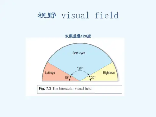 眼视野检查