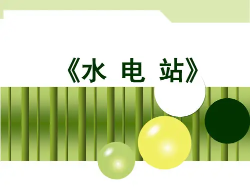 (精品)水轮机特性及选型