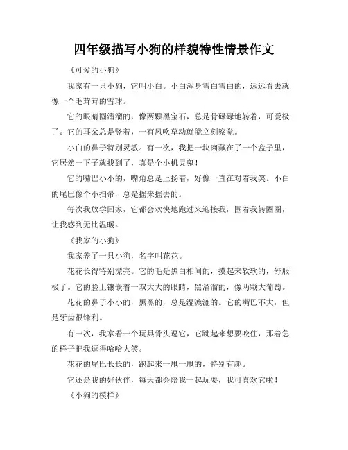 四年级描写小狗的样貌特性情景作文