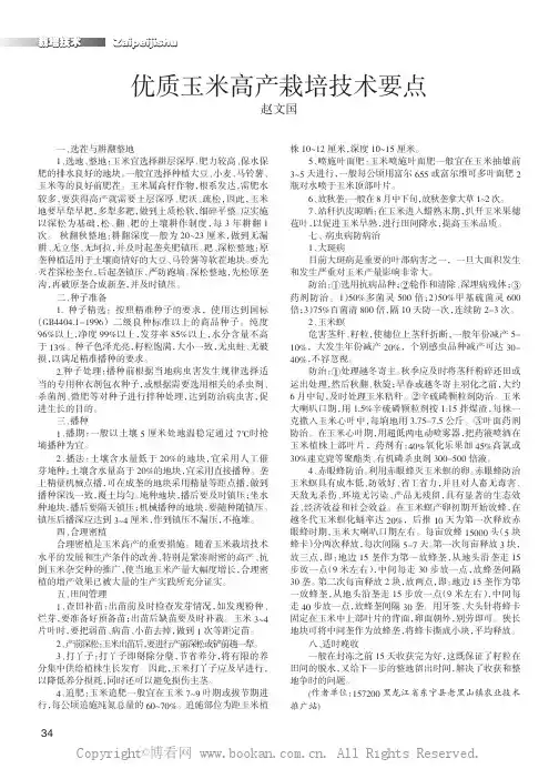 优质玉米高产栽培技术要点