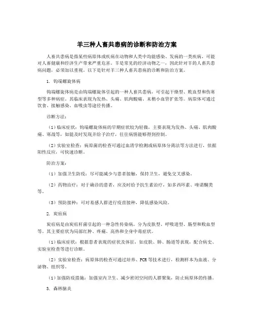 羊三种人畜共患病的诊断和防治方案