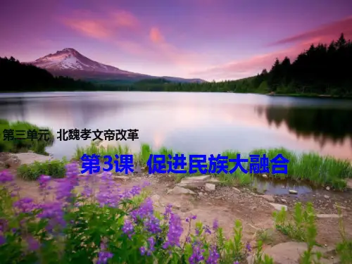 人教版高中历史选修1精品课件2：第3课  促进民族大融合