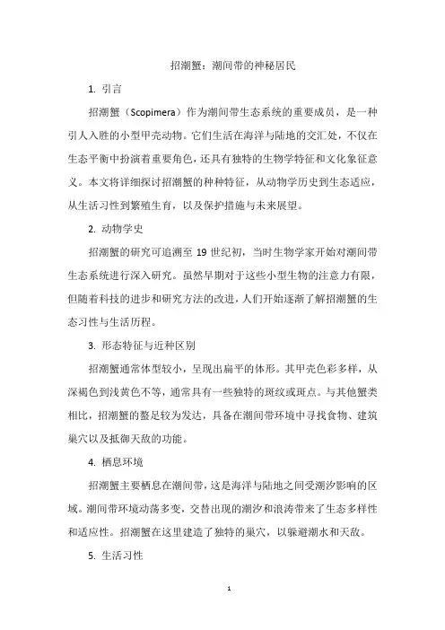 招潮蟹：潮间带的神秘居民
