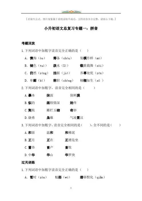 小升初语文总复习专题练习题及答案(共20个专题练习)