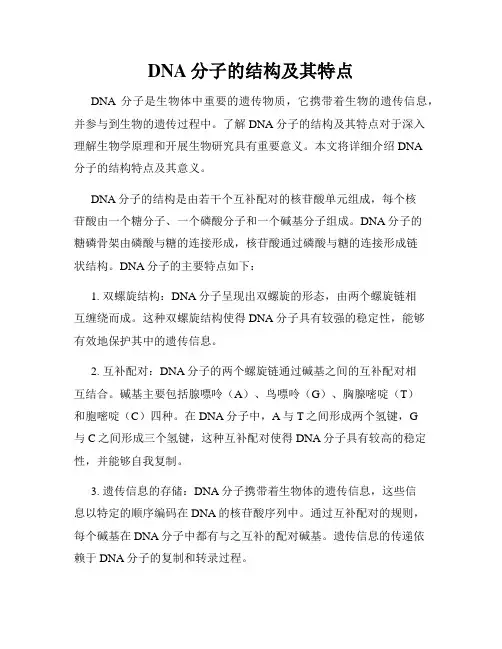 DNA分子的结构及其特点