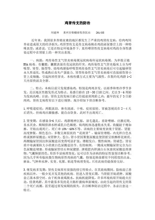 鸡肾传支的防治