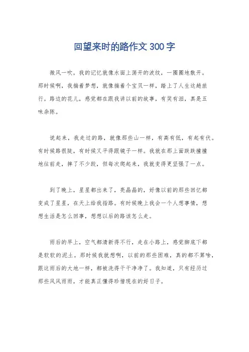 回望来时的路作文300字