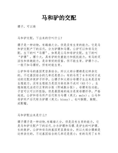 马和驴的交配