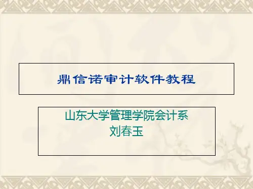 鼎信诺审计软件教程1