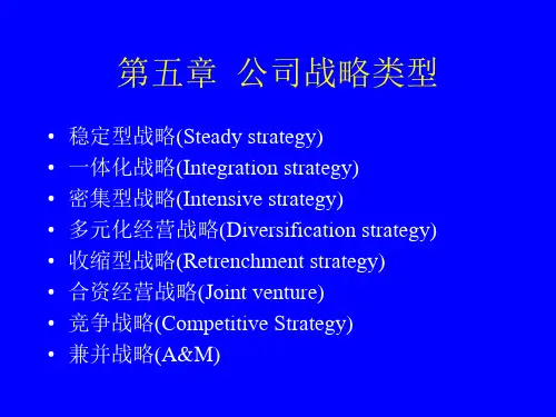 战略管理经典企业战略类型