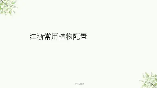 江浙地区常用植物配置课件