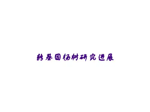 转基因杨树研究进展