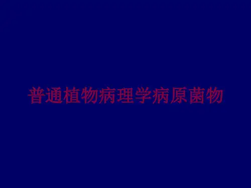 普通植物病理学病原菌物培训课件