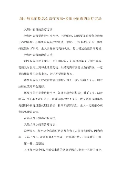 细小病毒前期怎么治疗方法-犬细小病毒的治疗方法