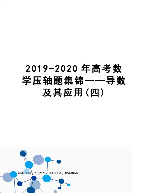 2019-2020年高考数学压轴题集锦——导数及其应用(四)
