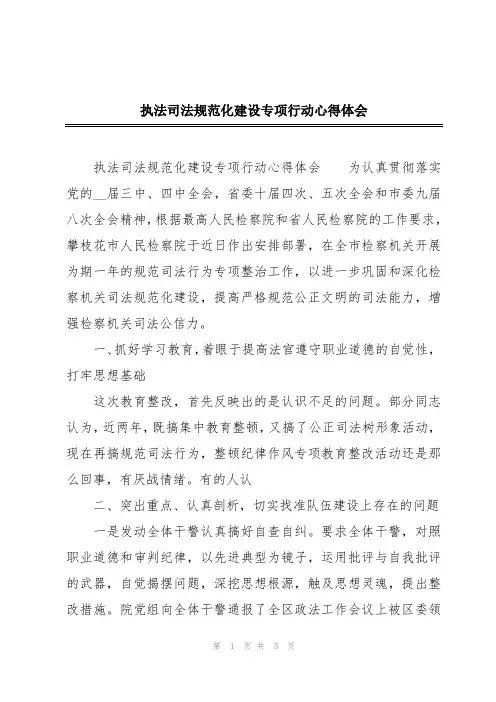 执法司法规范化建设专项行动心得体会