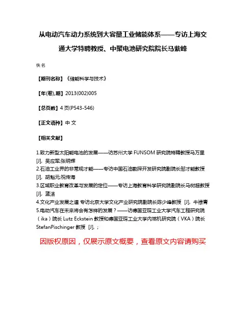 从电动汽车动力系统到大容量工业储能体系——专访上海交通大学特聘教授、中聚电池研究院院长马紫峰