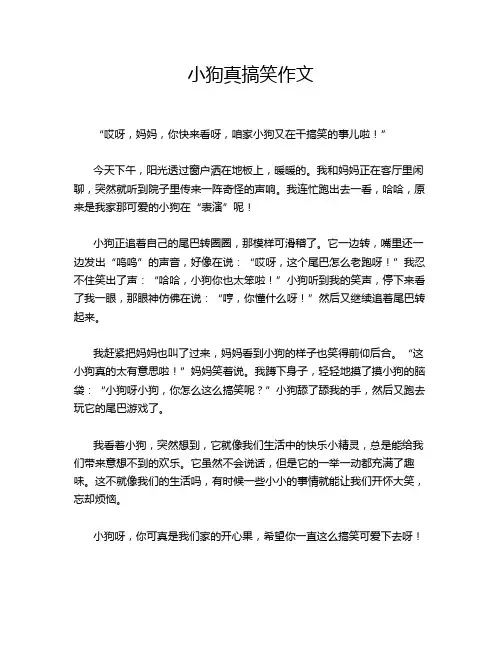 小狗真搞笑作文